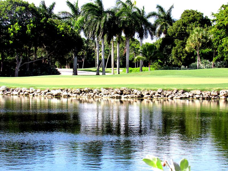 Golf Course View